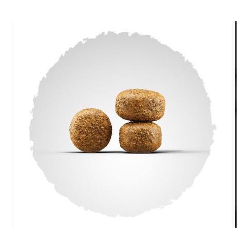 Balance Senior Trockenfutter   - Produktbild 5