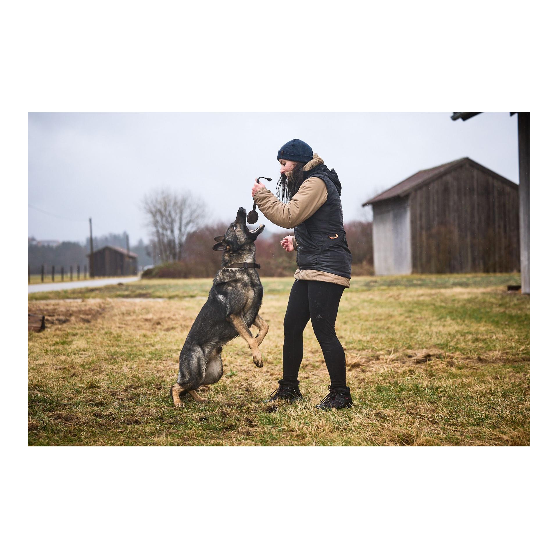 Hundetrainingsveste Obedience Vest - Produktbild 5