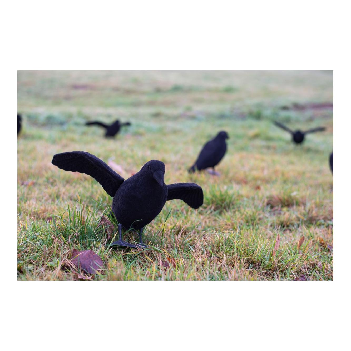Beflockte Lockkrähe mit Flügeln - Produktbild 2