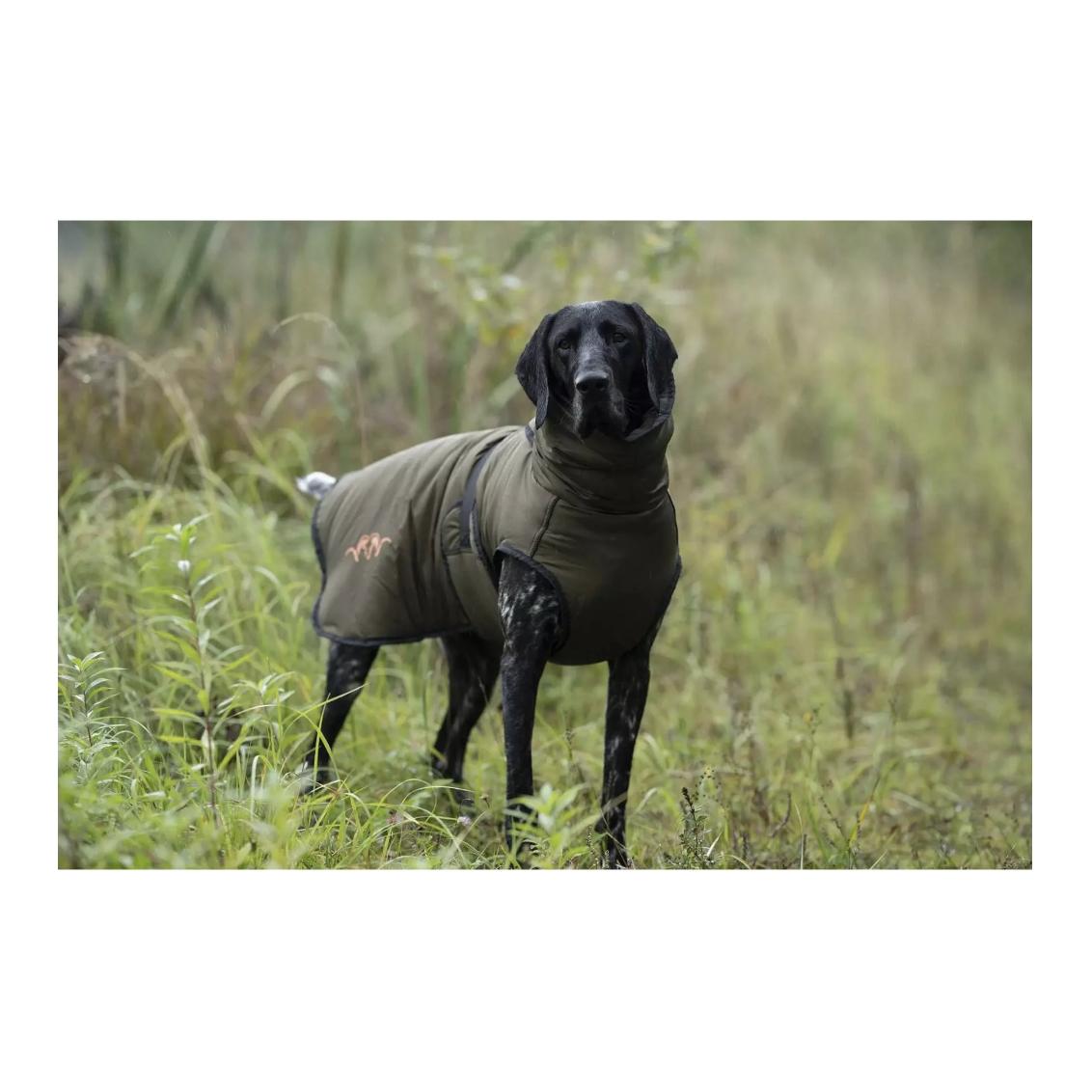 Hundeset Oliv - Produktbild 2