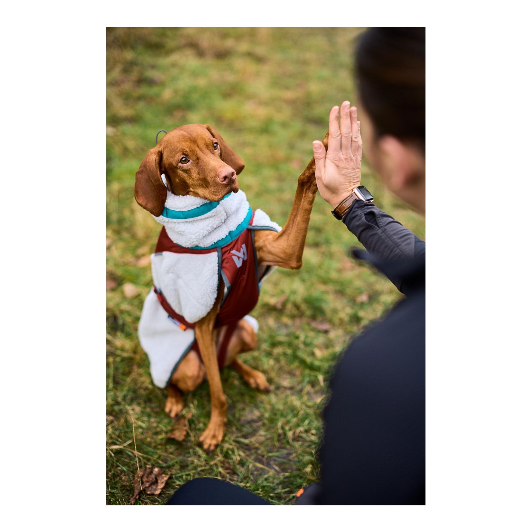Hundejacke Trekking fleece - Produktbild 2