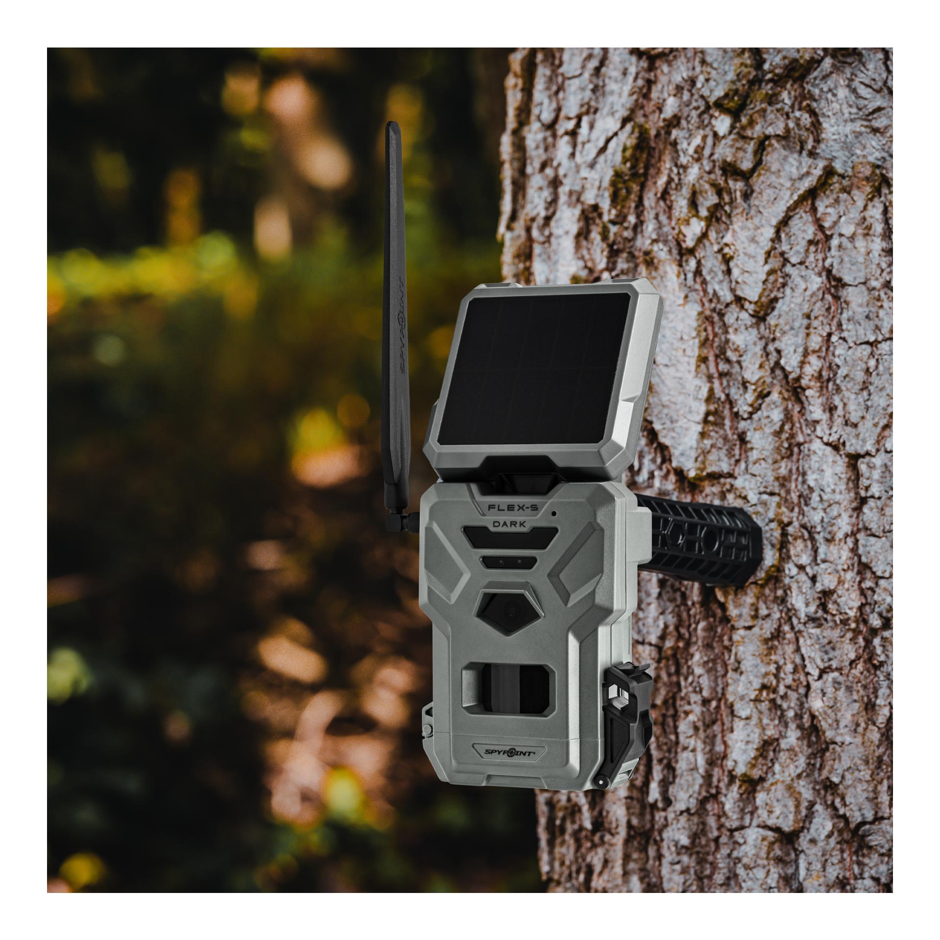 Wildkamera Flex-S-Dark - Produktbild 2
