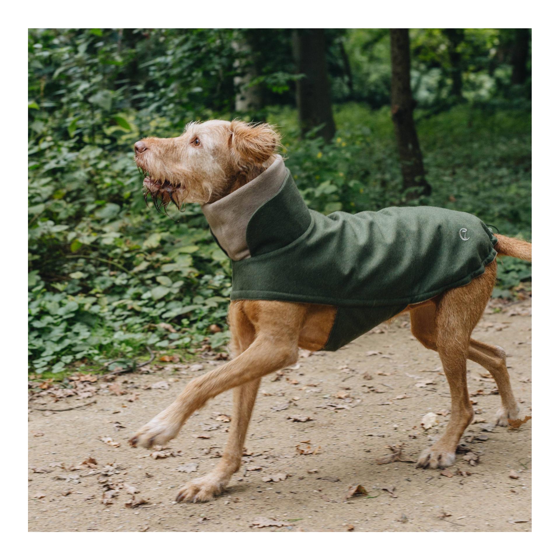 Hundemantel Brooklyn Regulär - fern green - Produktbild 4