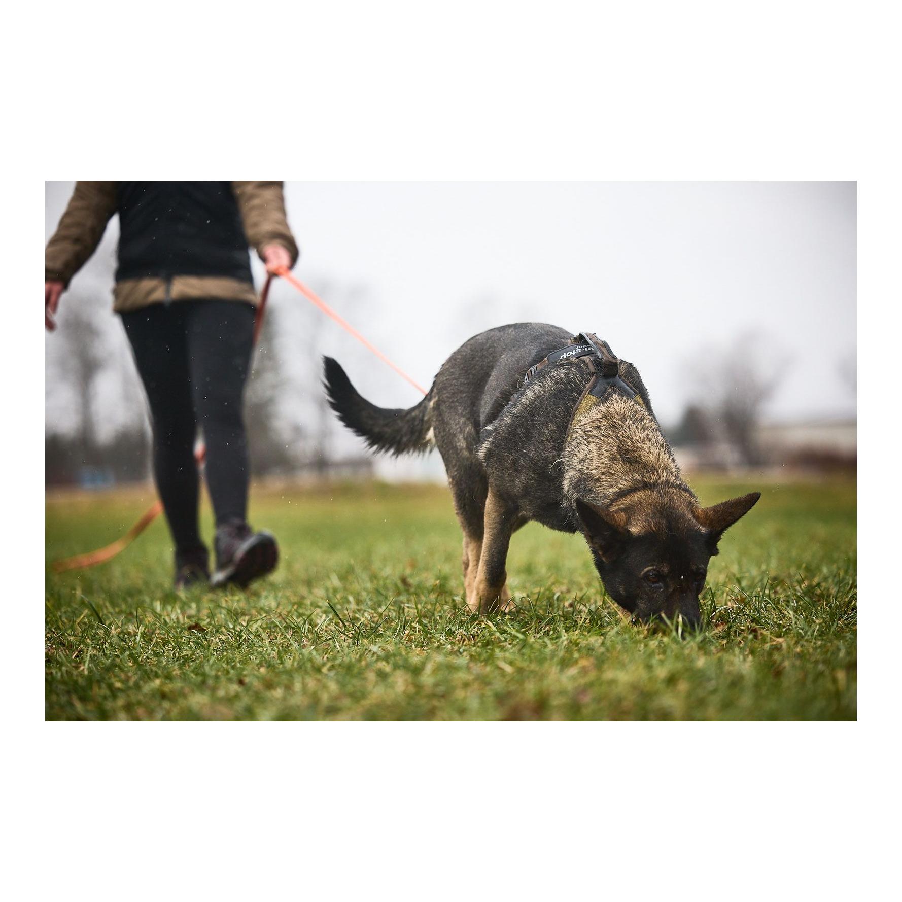 Hundegeschirr Line Harness Grip Working Dog - Produktbild 3