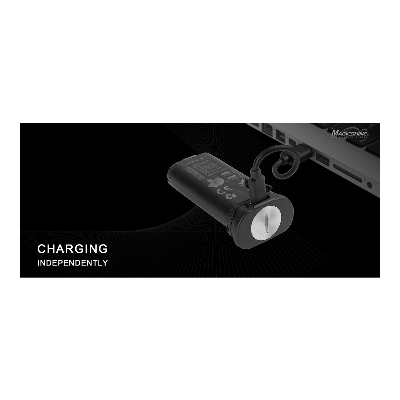 Akku Pack 3500 mAh für Allty 2000 - Produktbild 6
