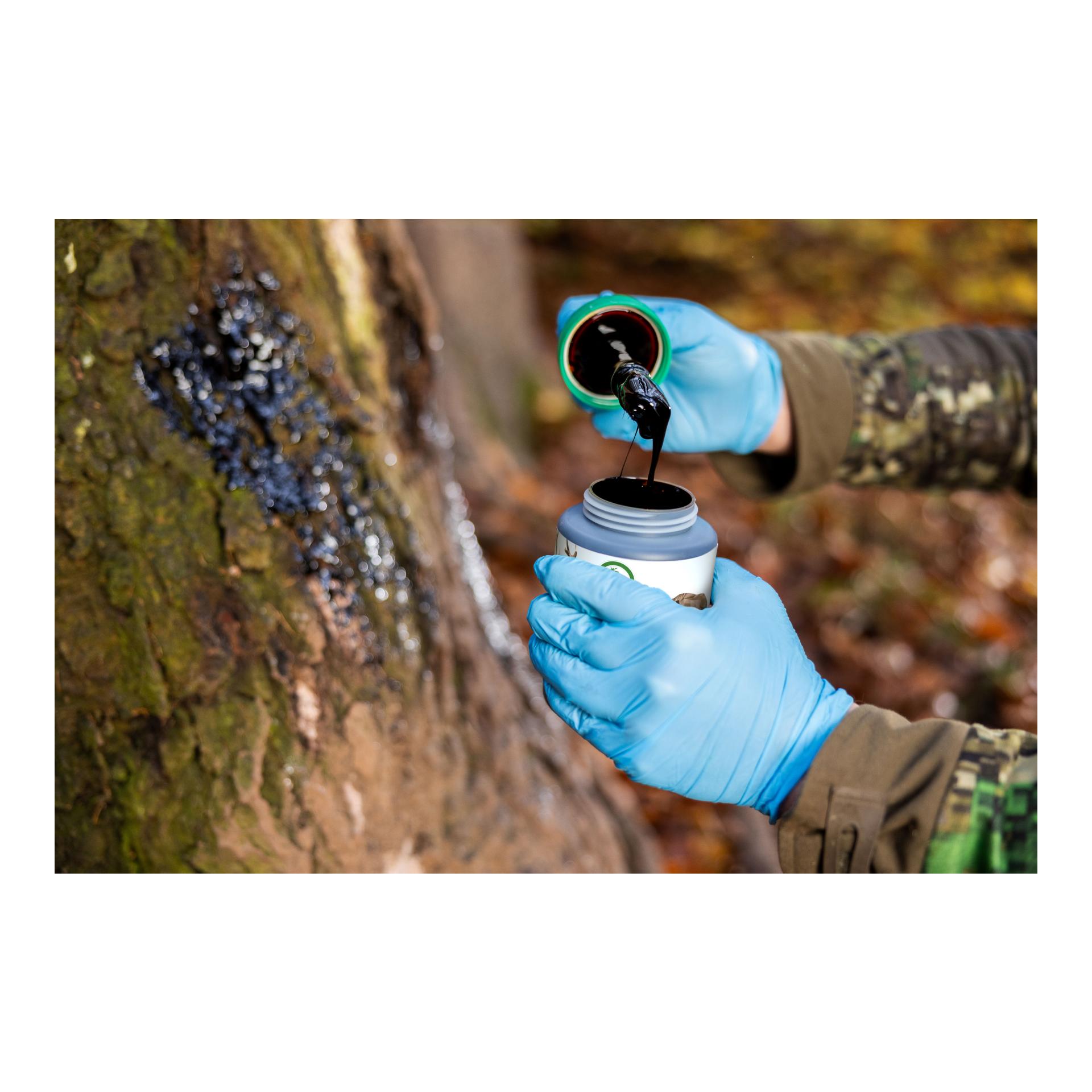 Buchenholzteer - 500 ml Dose + Pinsel - Produktbild 3