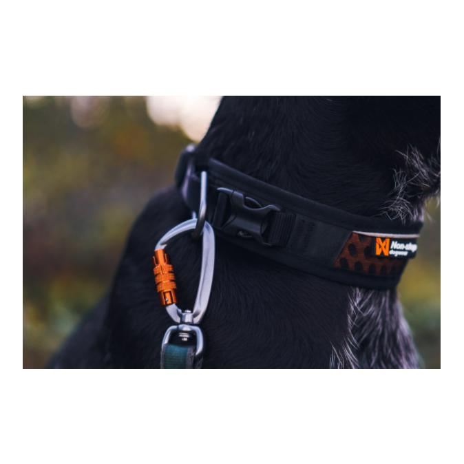Rock Adjustable Collar - Produktbild 2