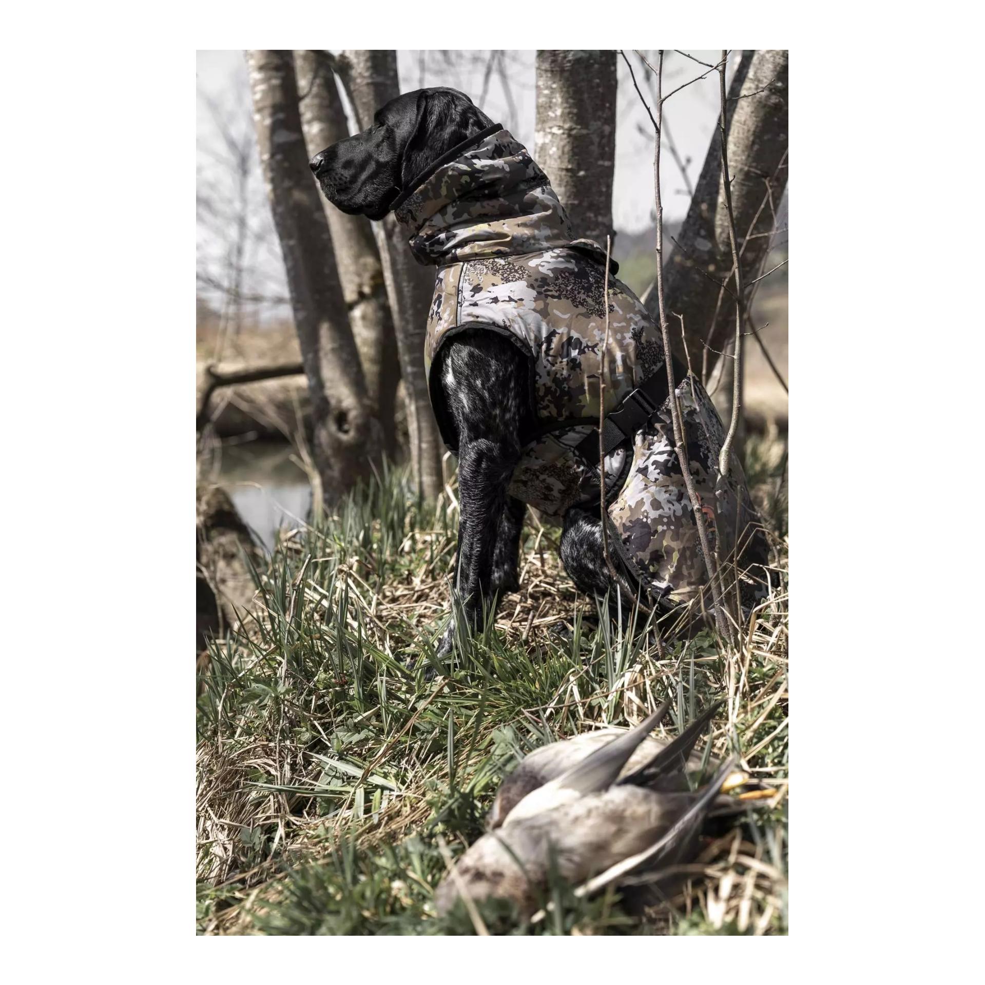 Hundeponcho HunTec Camo - Produktbild 5