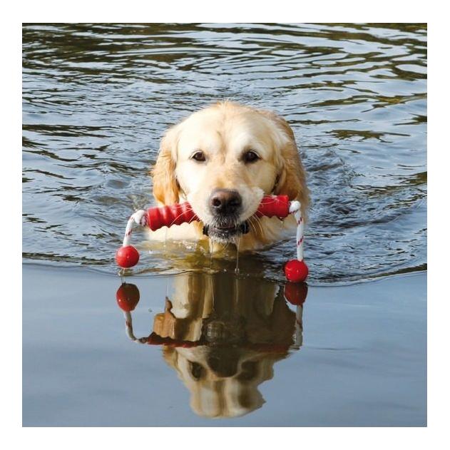 Dog Activity MOT®Long schwimmend- assortiert - Produktbild 2