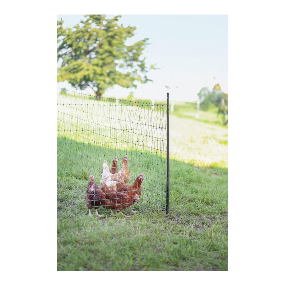 Unterstützungspfahl für Weidenetz - Produktbild 3