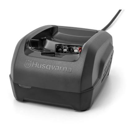Ladegerät QC250 - Produktbild 1