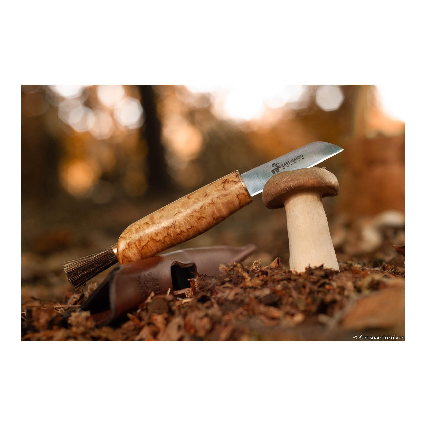 Zwampe - Pilzmesser mit Wildschweinborstenbürste und Lederscheide - Produktbild 5