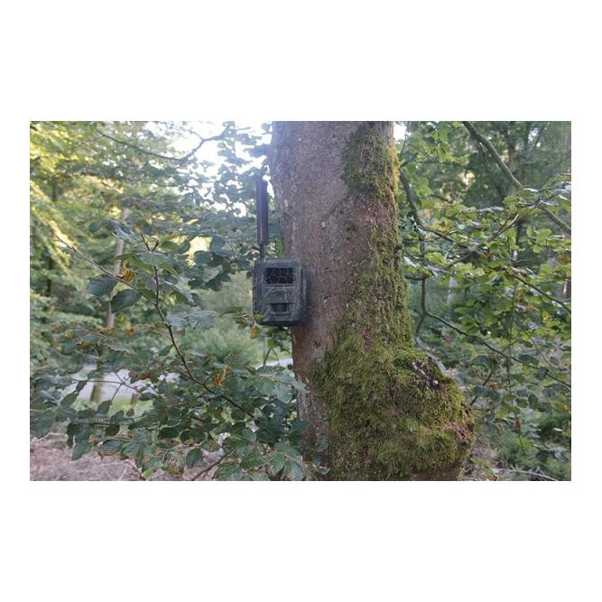 Wildkamera Special-Cam LTE - Standartversion - Produktbild 4