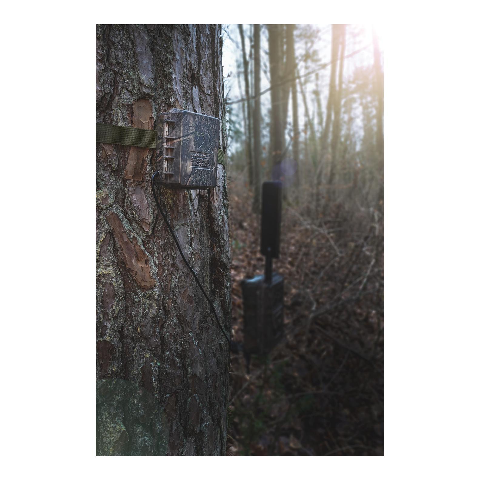 Externer Akkupack für Wildkameras - Produktbild 4