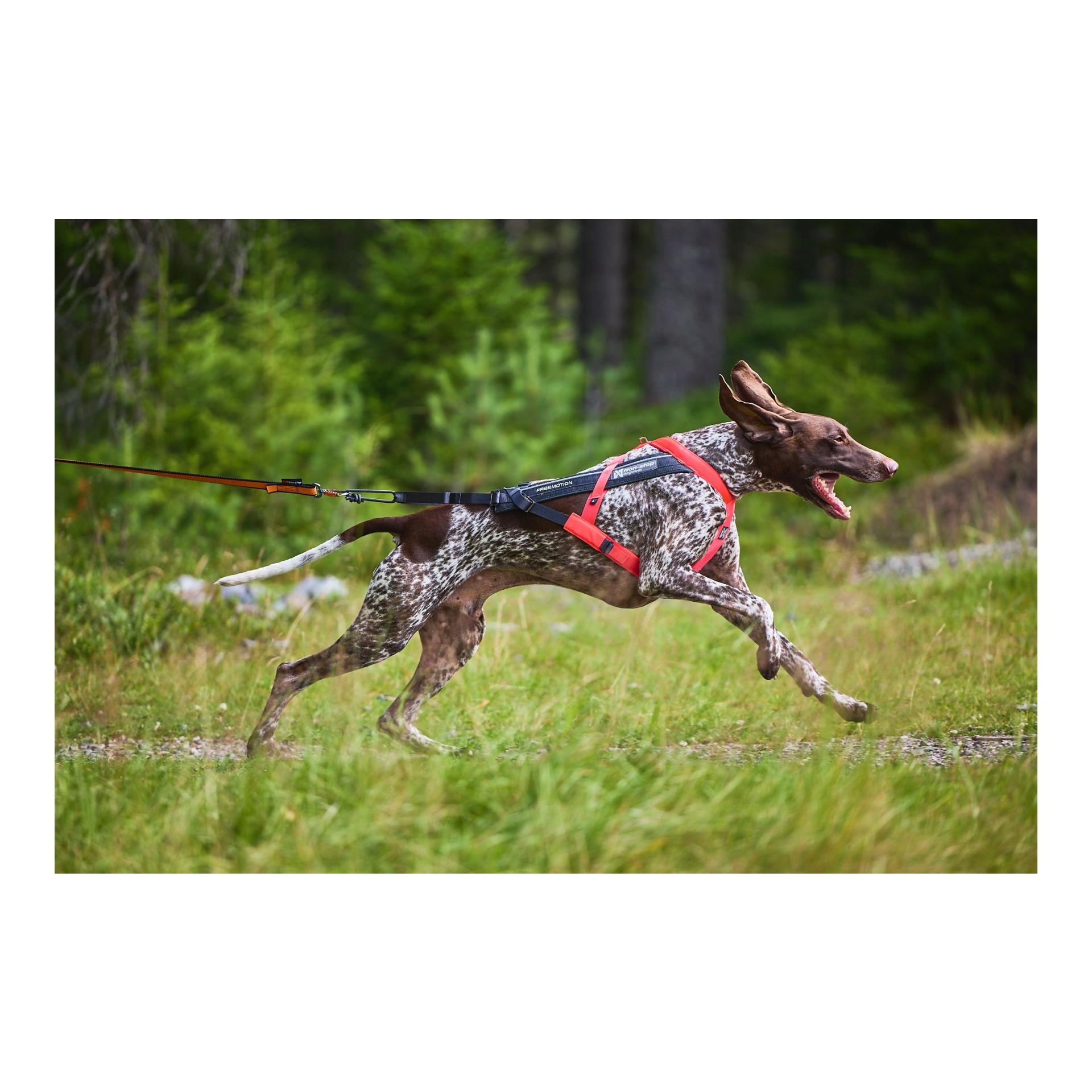 Zuggeschirr Freemotion Harness 5.0 - Produktbild 5