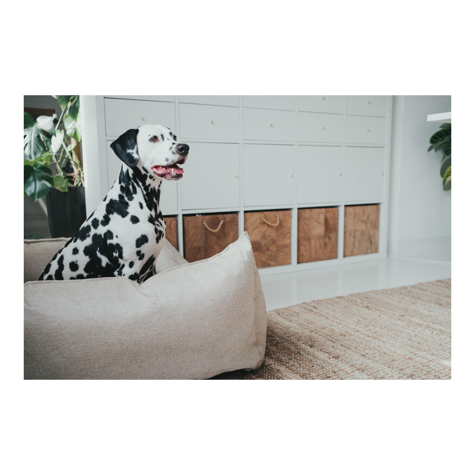 Hundesofa Livingston webstoff - beige - Produktbild 4