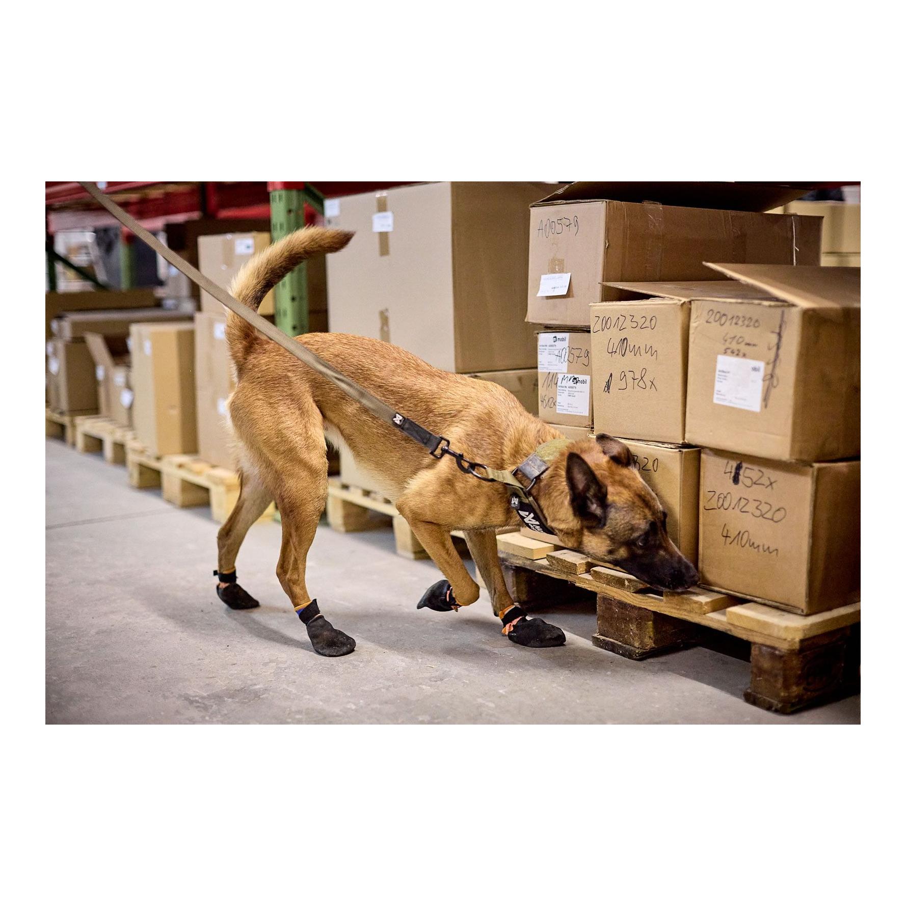 Hundeleine Solid Leash Working Dog - Produktbild 3