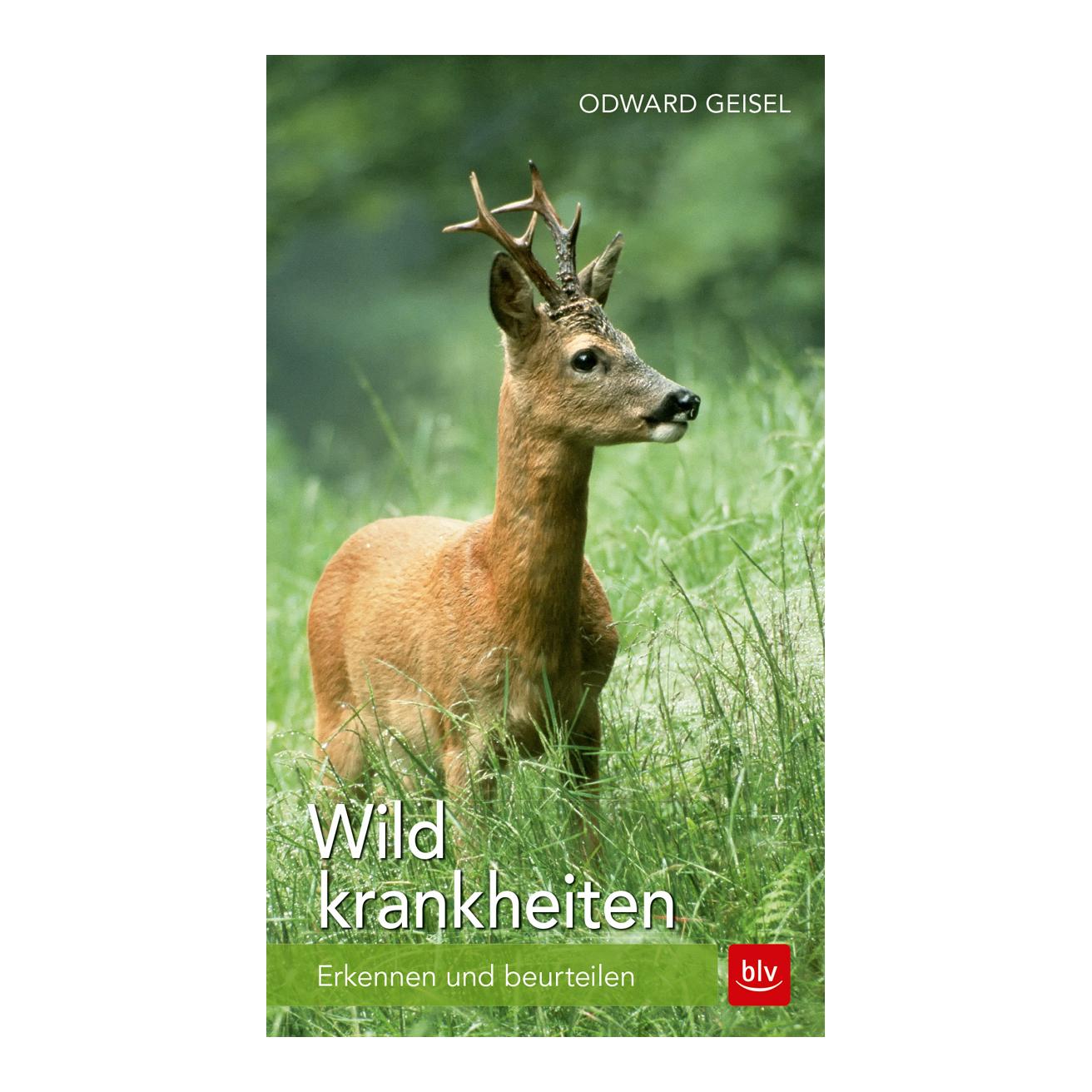 Wildkrankheiten - Erkennen und beurteilen - Produktbild 1