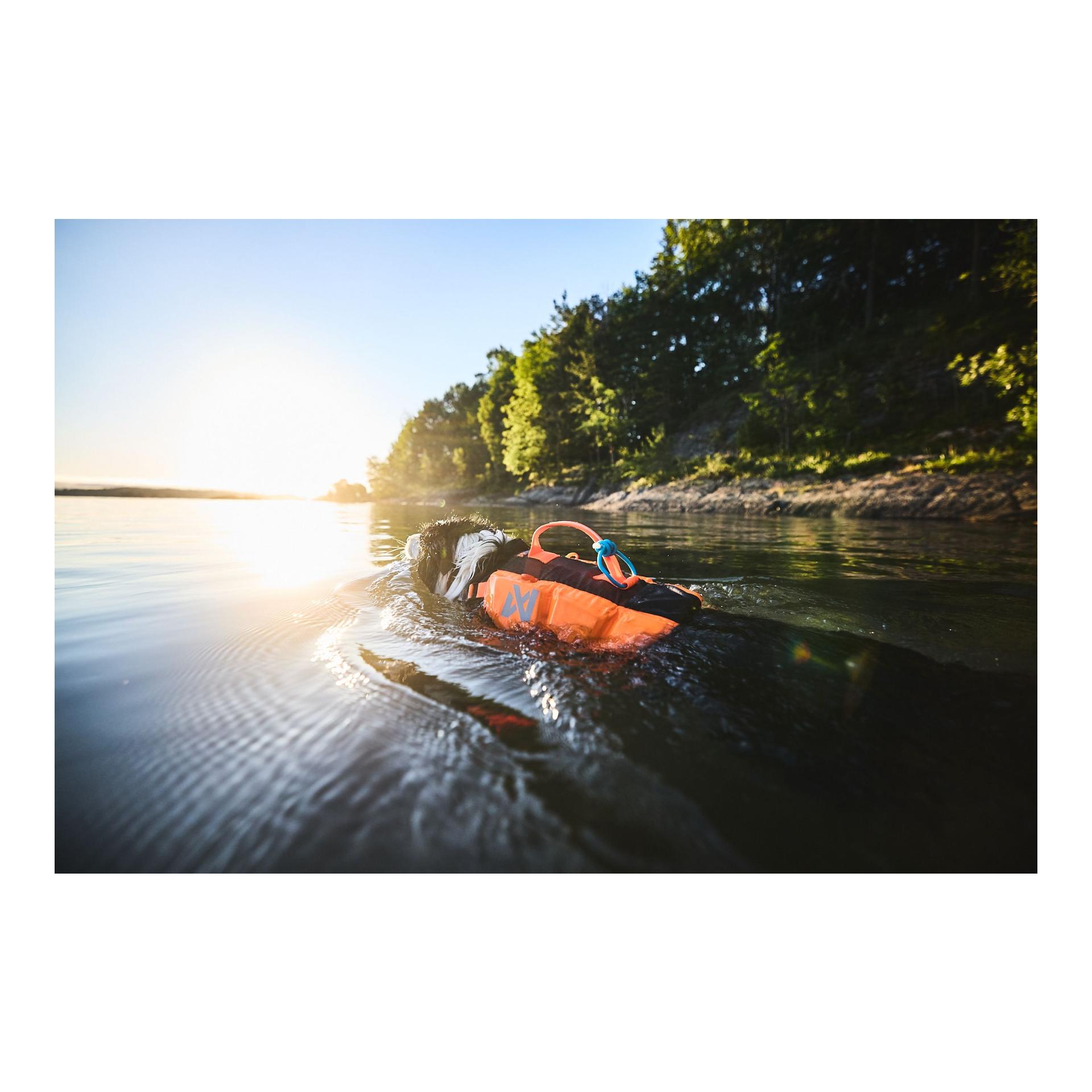 Protector Life Jacket Hundeschwimmweste - Produktbild 5