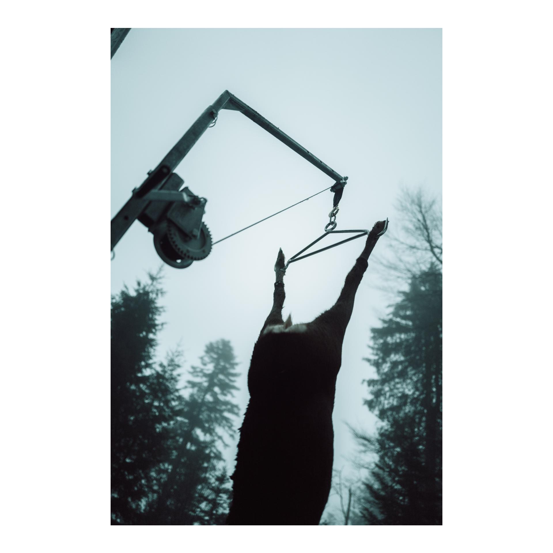 Mobile Aufbrechhilfe für Heckträgermontage - Produktbild 4