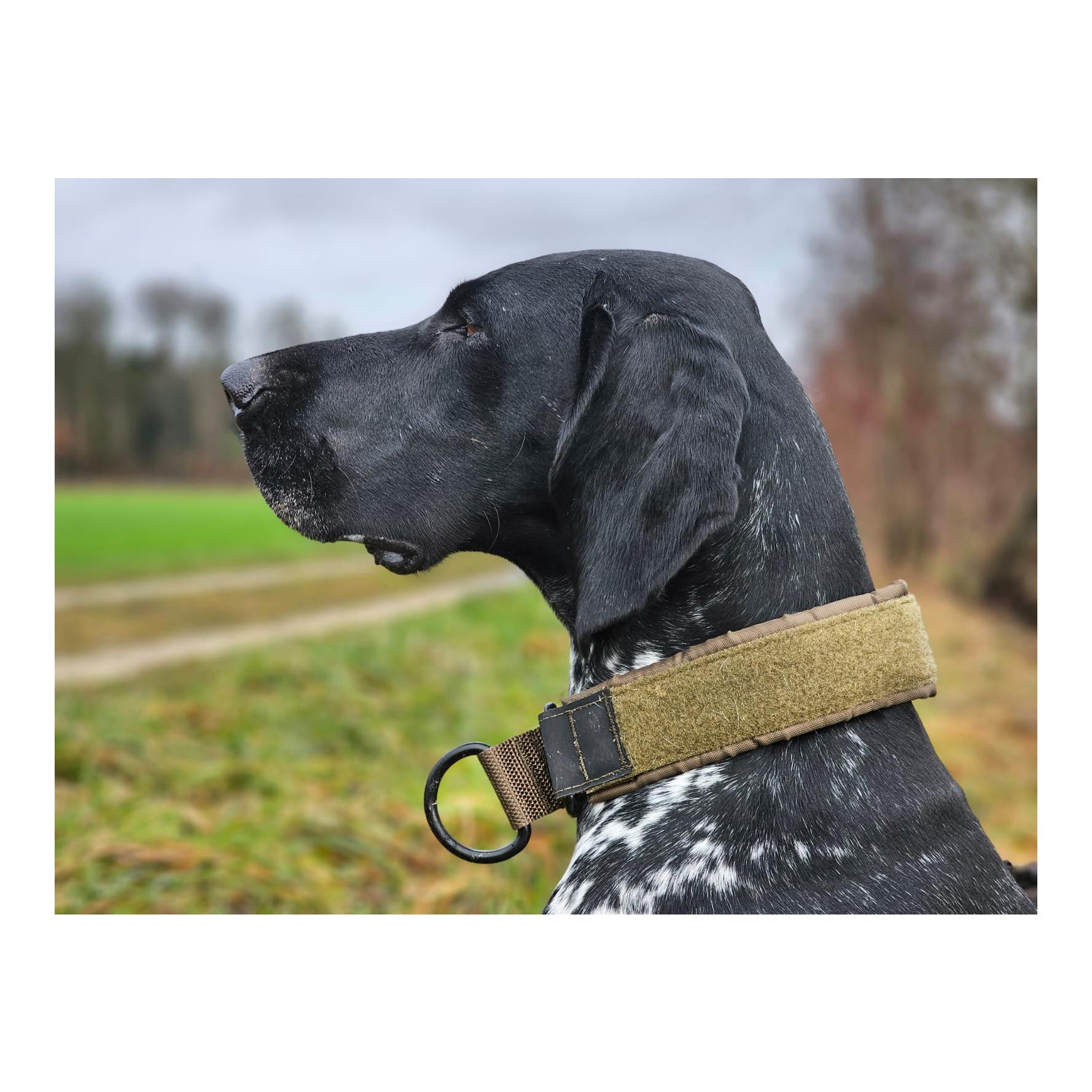 Hundehalsband Solid Collar Working Dog - Produktbild 4