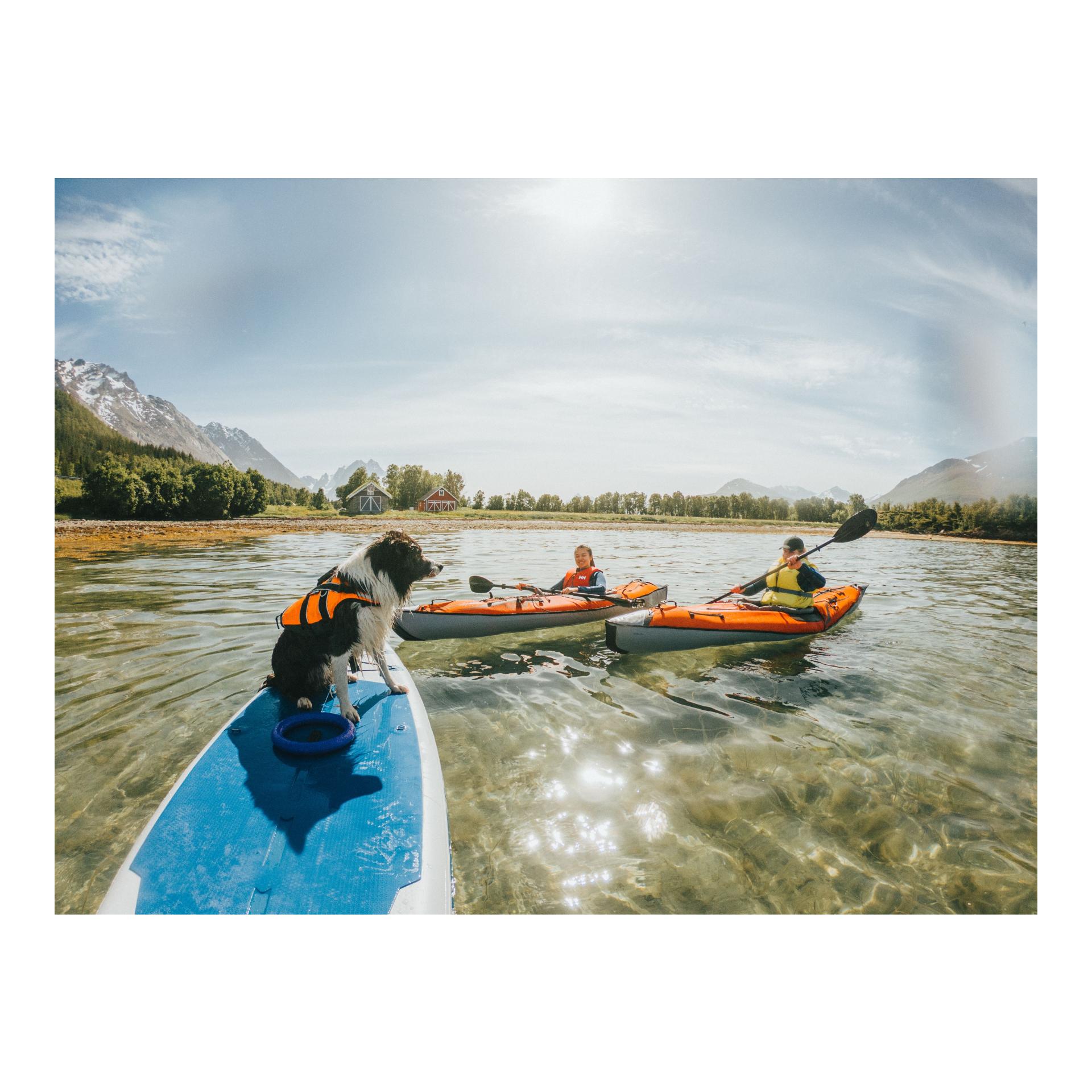 Safe Life Jacket 2.0 Hundeschwimmweste - orange - Produktbild 4